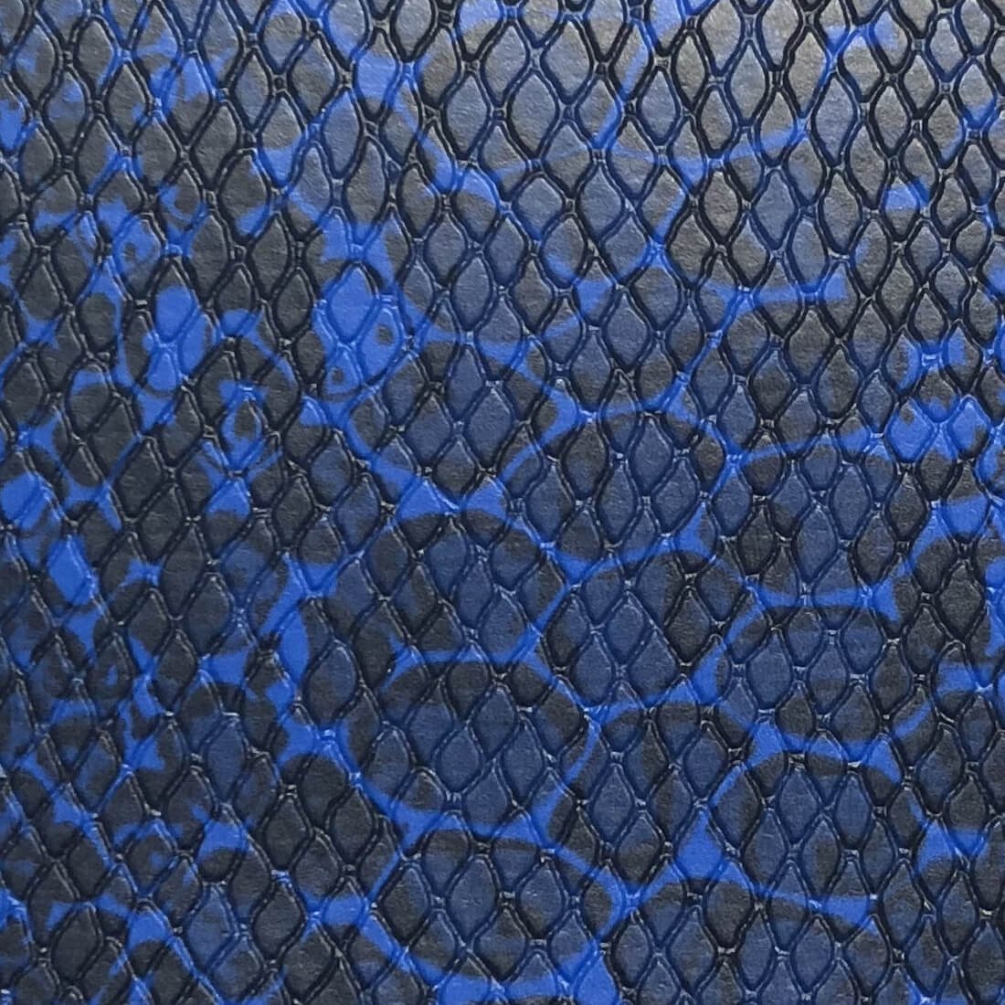 Blue snakeskins 2024