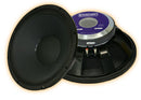 Radian 2216 - 8 ohm 15" 725W Pro Audio Woofer