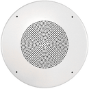 McBride 810C/11/70 - White Speaker Assembly Baffle